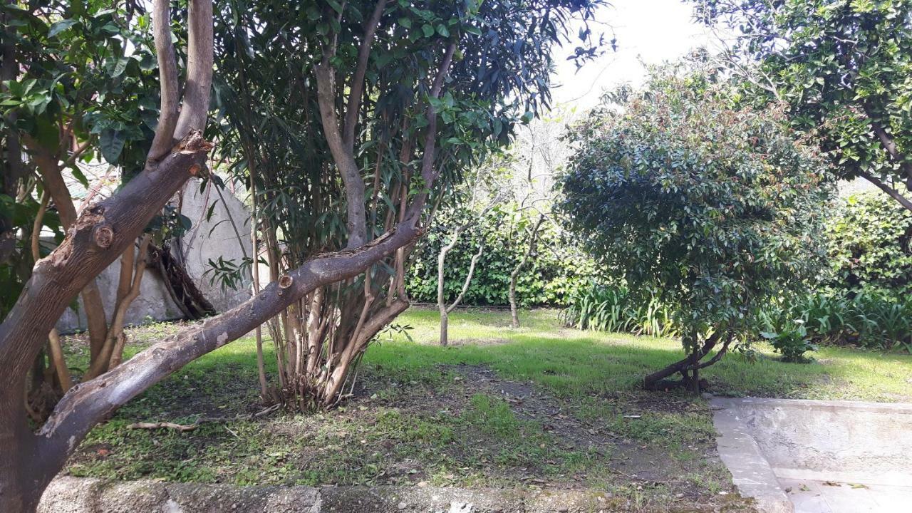 شقة Giardino Labruto مسينا المظهر الخارجي الصورة