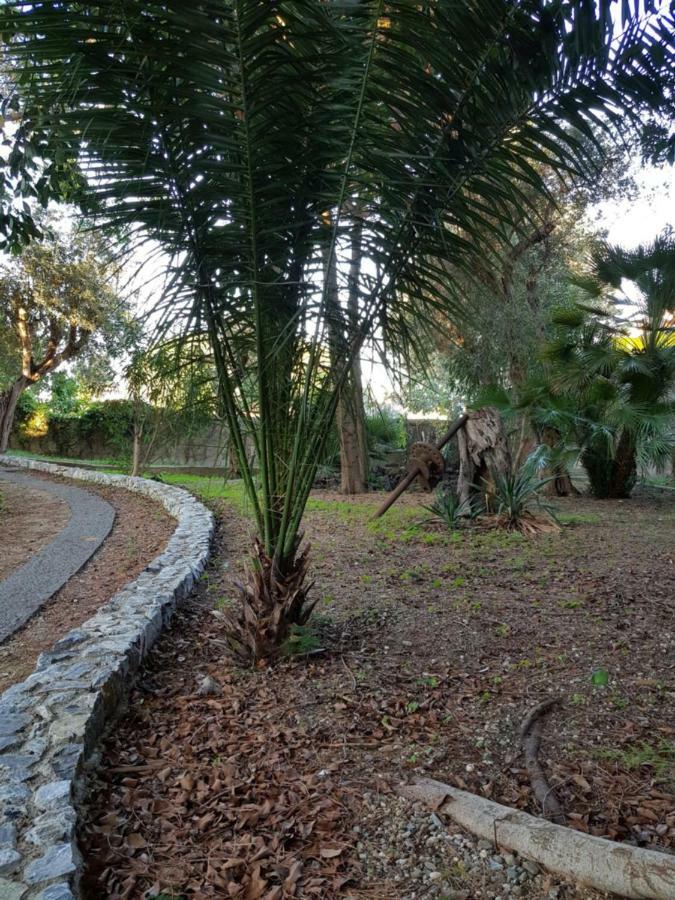 شقة Giardino Labruto مسينا المظهر الخارجي الصورة